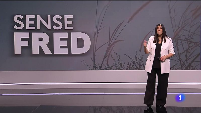 El temps a les Illes Balears - 08/01/25 | Ver