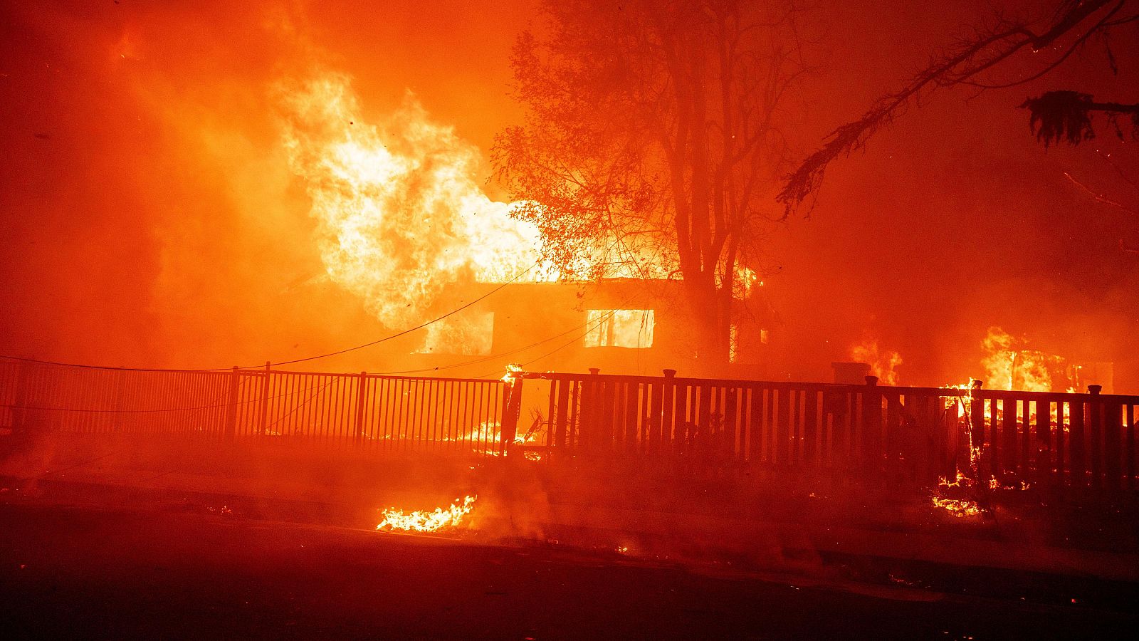 La tarde en 24 horas - 08/01/25 - ver ahora