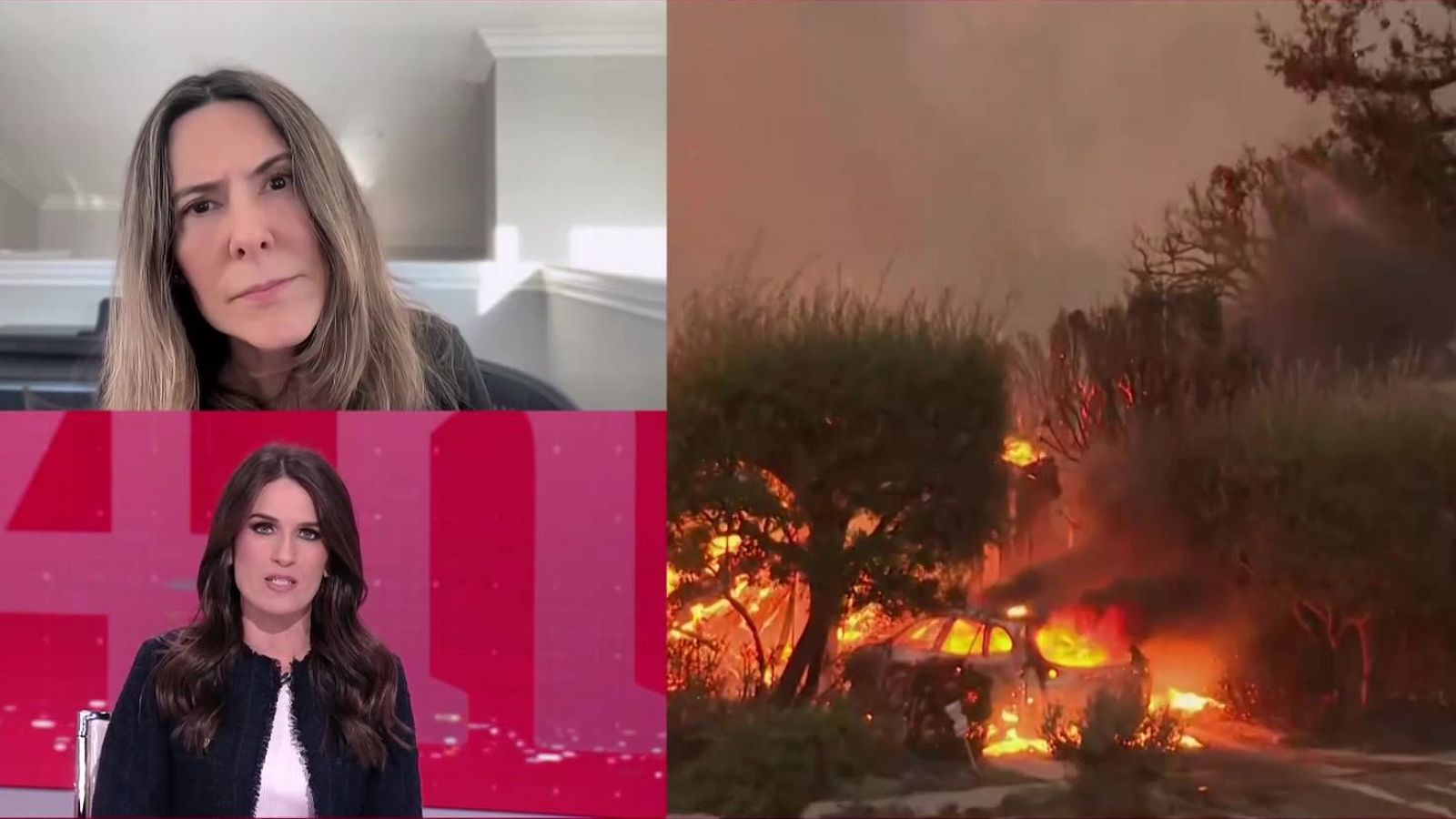 Silvia Olmedo, española afectada por los incendios en Los Ángeles - La tarde en 24h | Ver