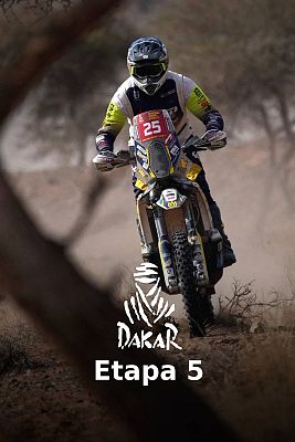 Dakar - Etapa 5: Alula > Hail (491 km) - Resumen de la Jornada