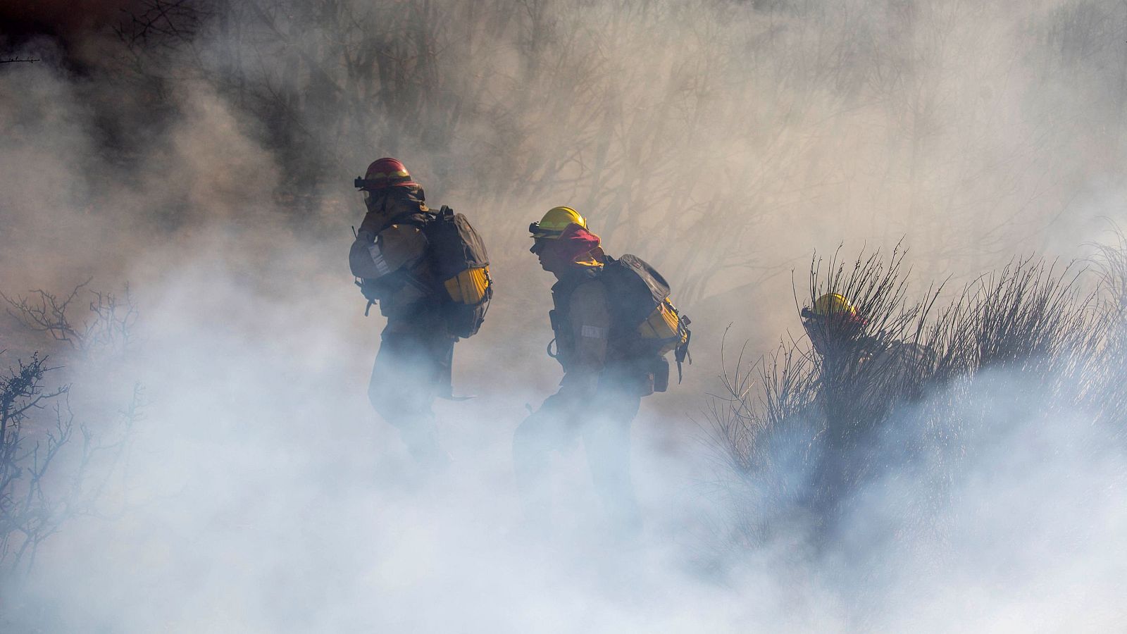 Telediario matinal en cuatro minutos - 10/01/2025 | Ver