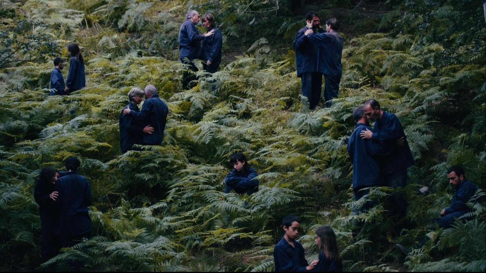 Días de Cine: The Human Hibernation | Ver