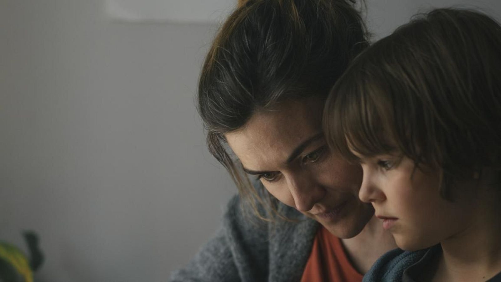 Días de Cine: La mitad de Ana | Ver