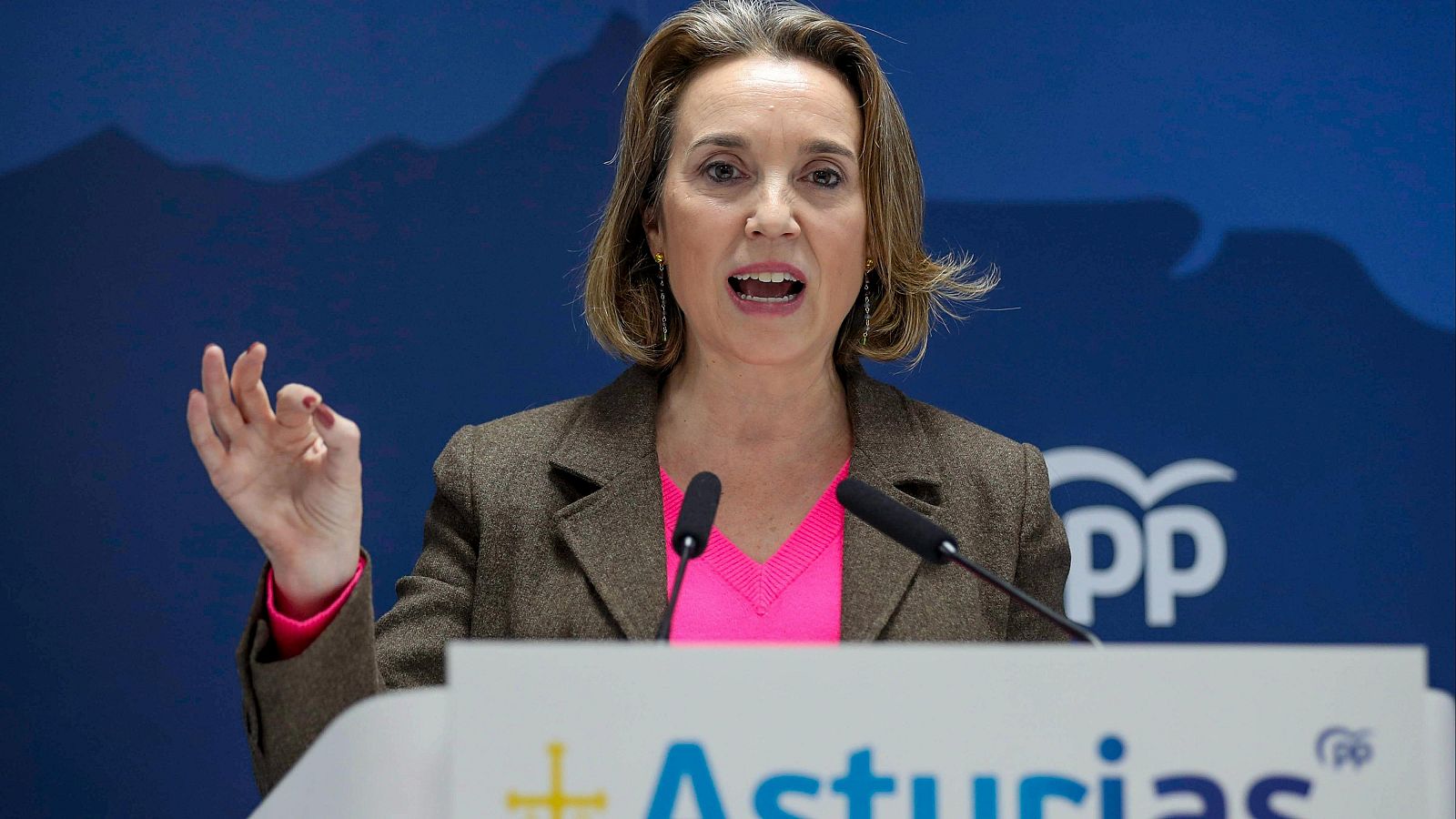 PP y asociaciones de jueces rechazan la propuesta del PSOE para limitar la acusación popular | Ver