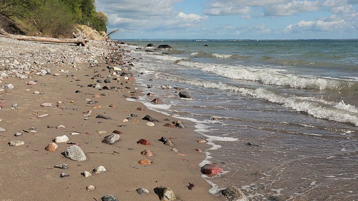 Belleza septentrional - La vida en la costa
