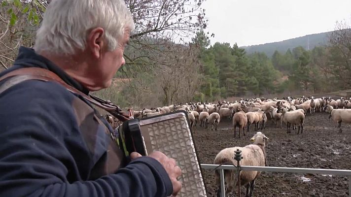 Aquí la Tierra - El cuento del pastor y sus cencerros