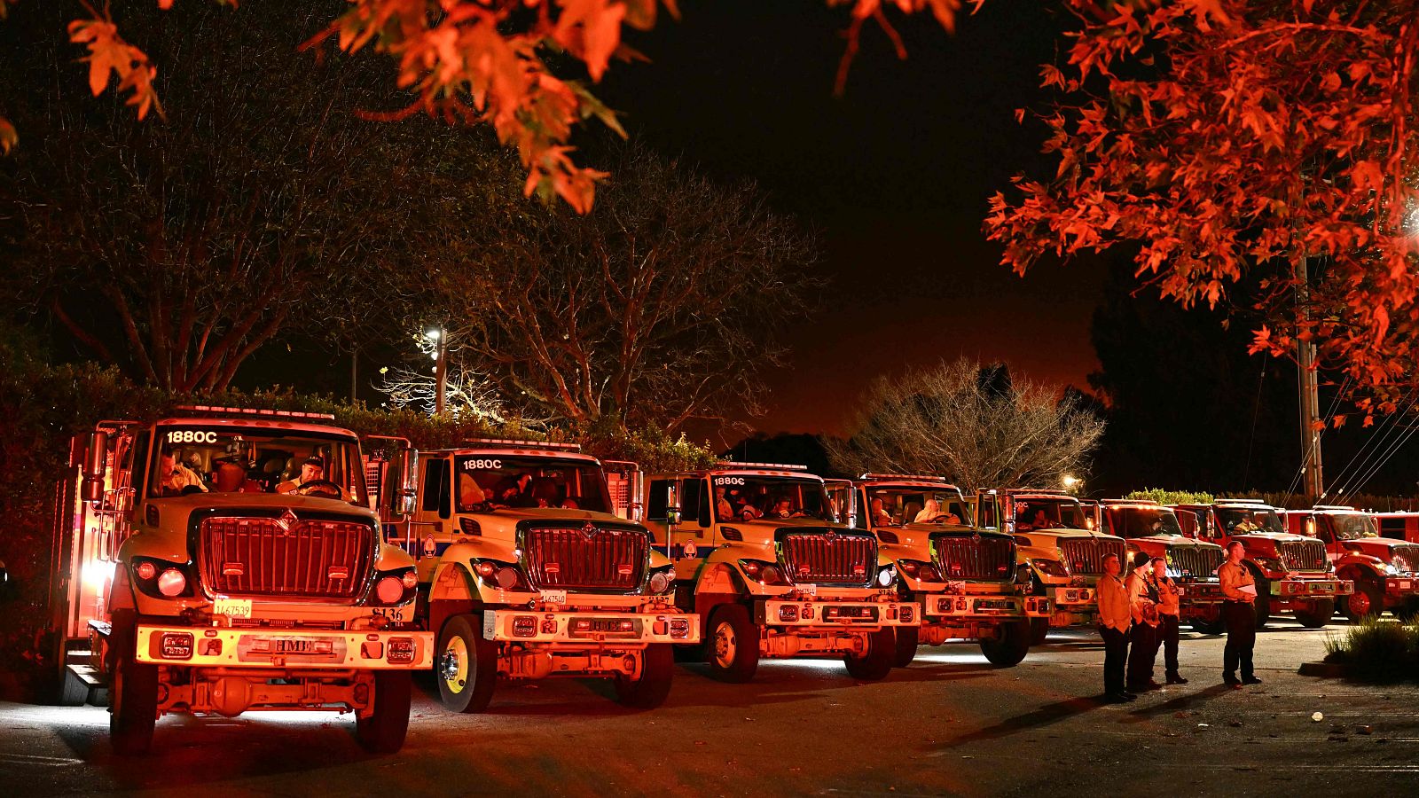 Telediario matinal en cuatro minutos - 11/01/2025 | Ver