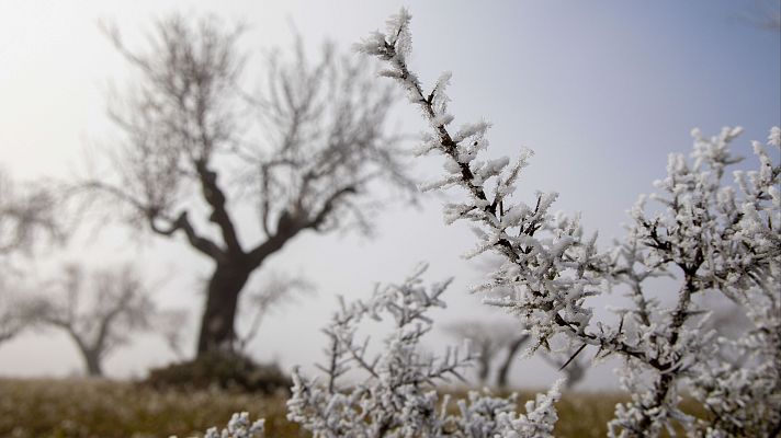 El tiempo - El descenso de las temperaturas, el viento, la niebla y el oleaje ponen en alerta a seis comunidades