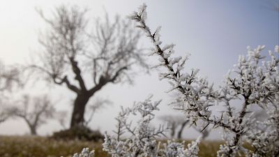 El tiempo este domingo 12 de enero: seis comunidades en alerta por viento, niebla, oleaje y bajas temperaturas