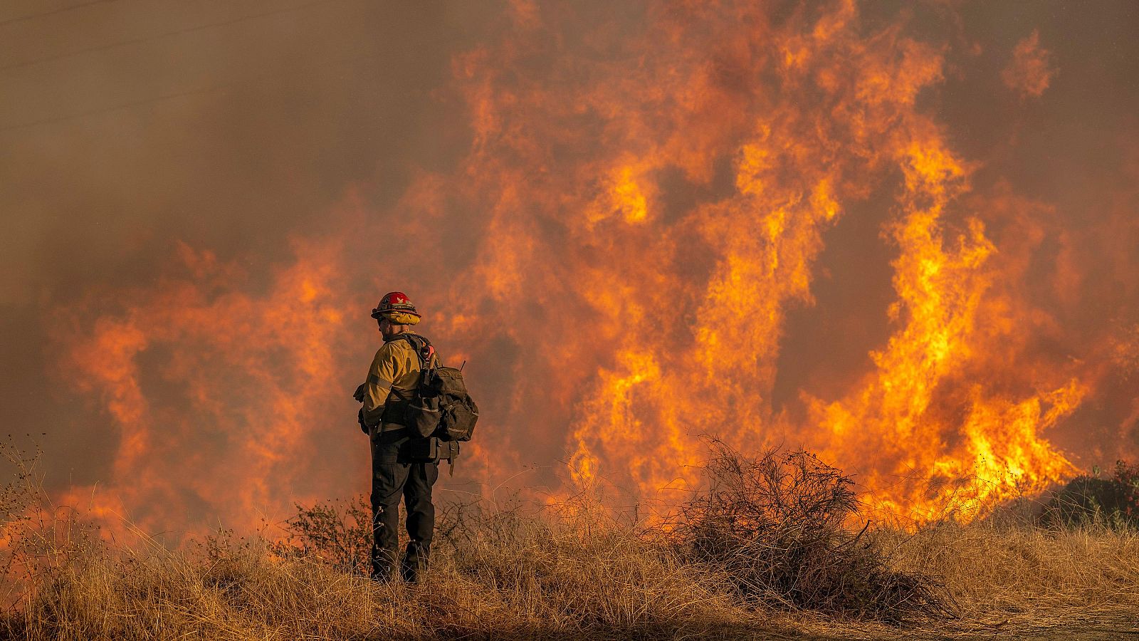 Telediario - 15 horas - 12/01/25 - ver ahora