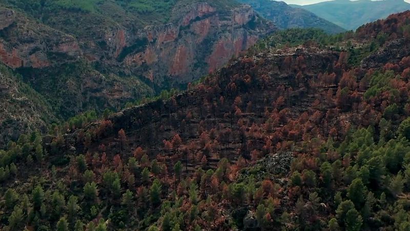 La vuelta a la Espaa digital - Episodio 1: Pirotechnia. Comunidad Valenciana - ver ahora