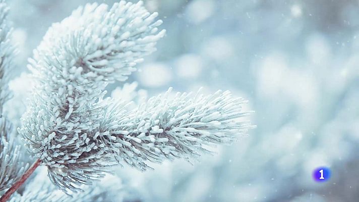 Telexornal - Galicia - El tiempo en Galicia 11-01-2025