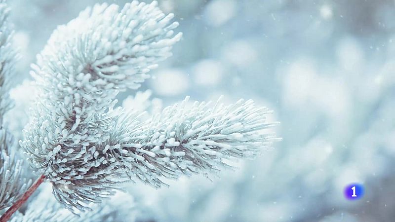 El tiempo en Galicia 11-01-2025 | Ver