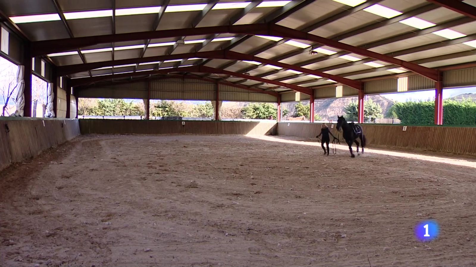 Telerioja en 2' - 13-01-2025 | Ver