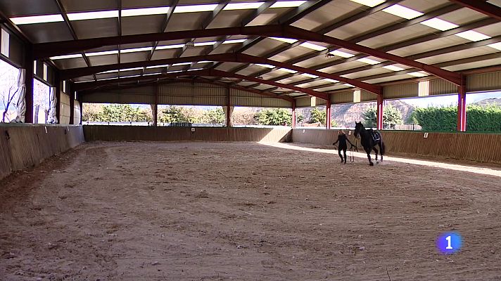 Informativo Telerioja - Telerioja en 2' - 13-01-2025