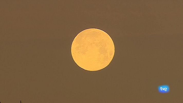 Panorama Regional - Panorama Regional 2 - 14/01/25