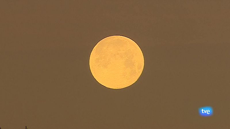 Panorama Regional 2 - 14/01/2025 - Ver ahora