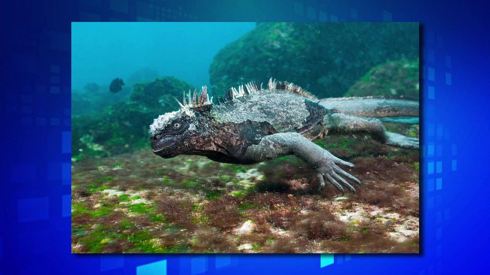 Saber y ganar - 14/01/25 - ver ahora