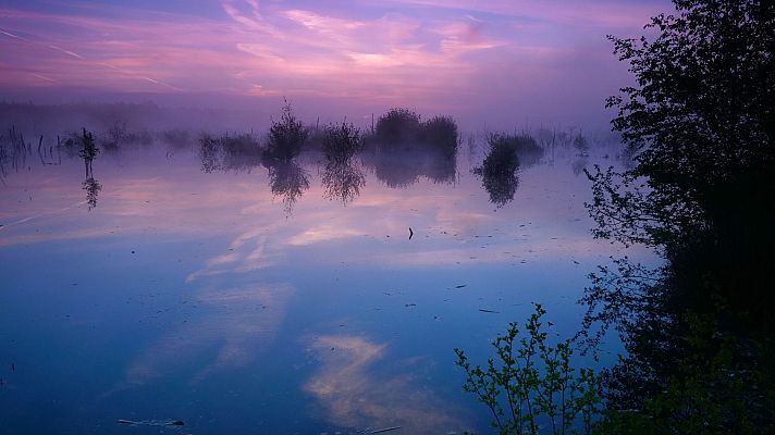 Belleza septentrional - Aguas superficiales. Donde siempre regresa la naturaleza