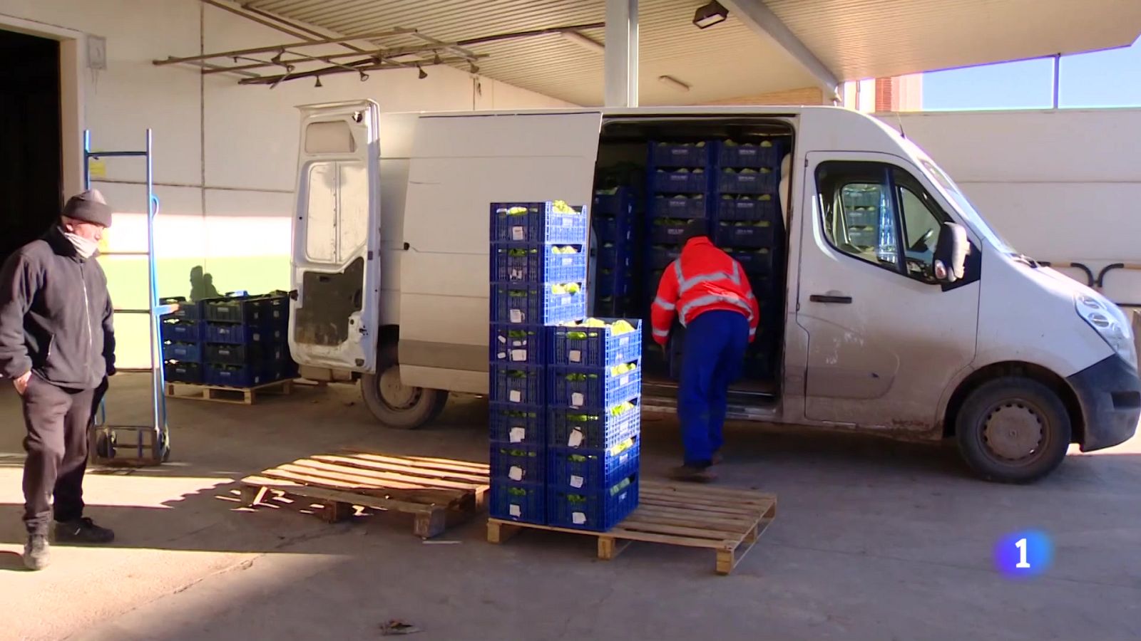 Informativo Telerioja - 15-01-2025 | Ver