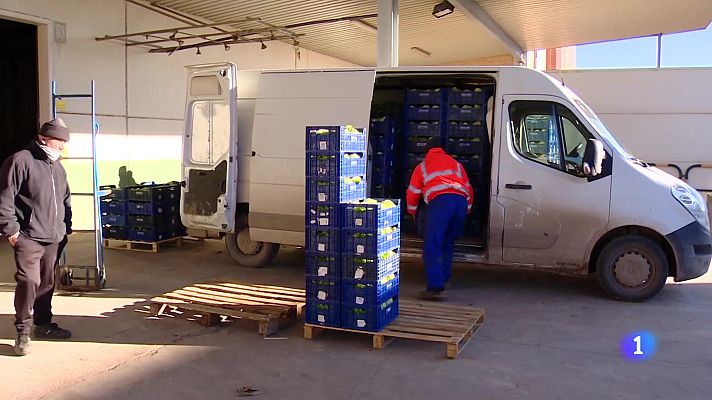 Informativo Telerioja - Informativo Telerioja - 15-01-2025