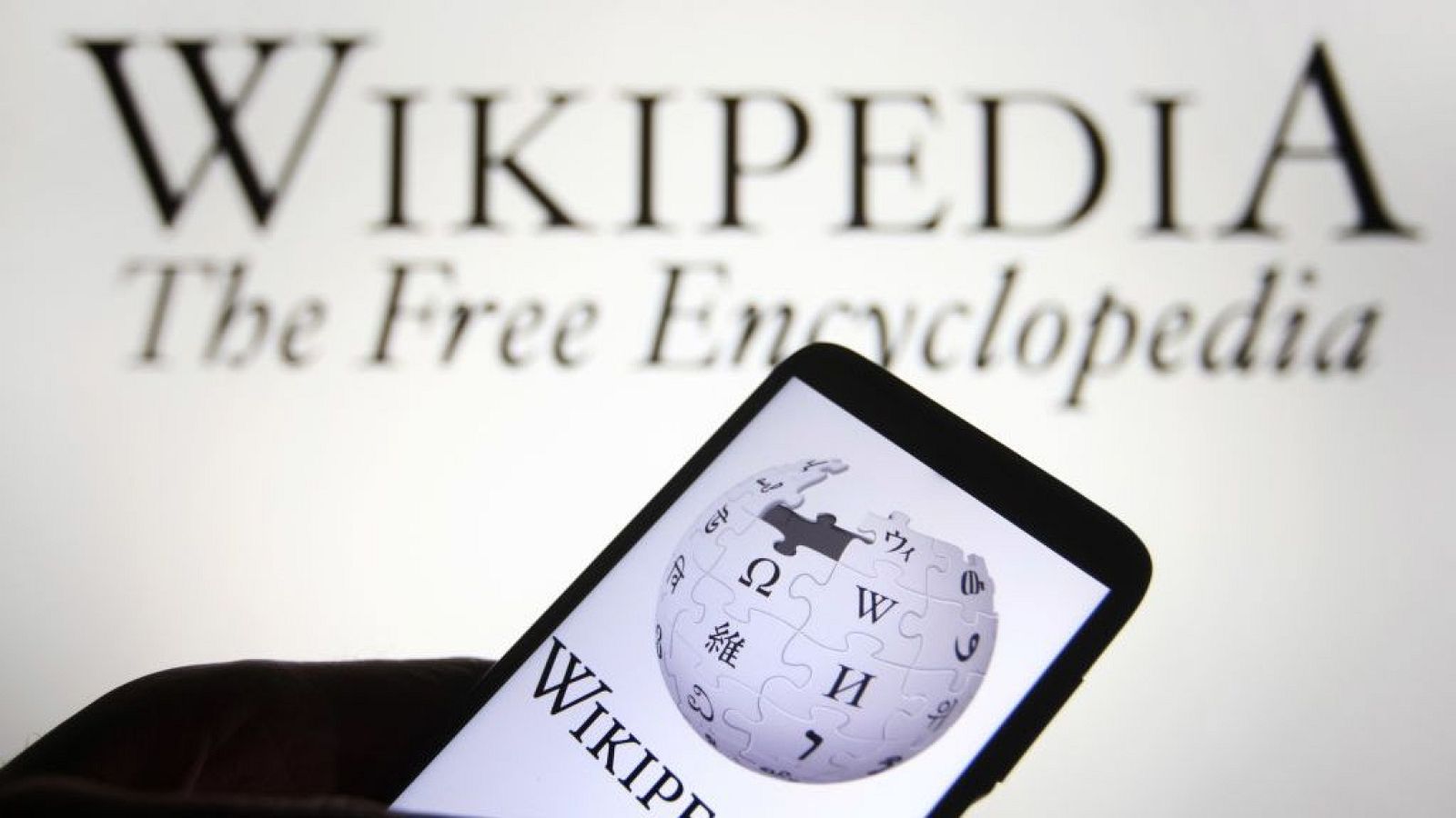 Promueven redes sociales alternativas 'antimagnates' | Ver