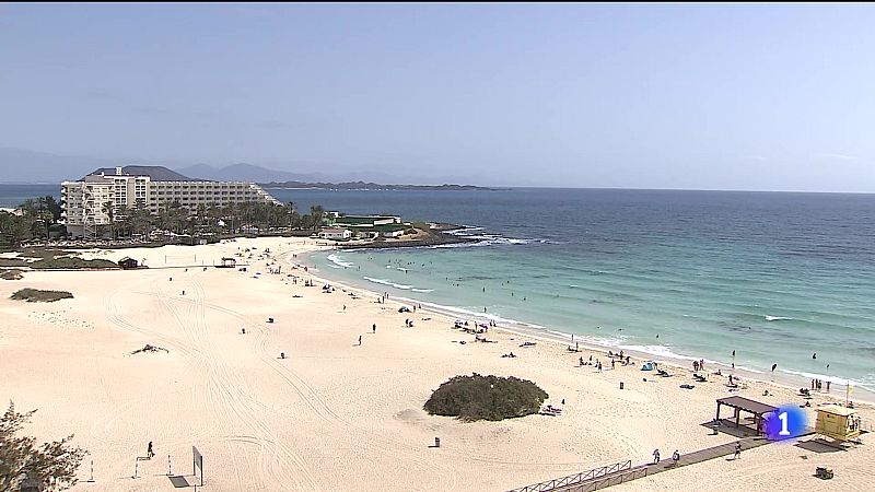 Telecanarias - 15/01/2025 | Ver