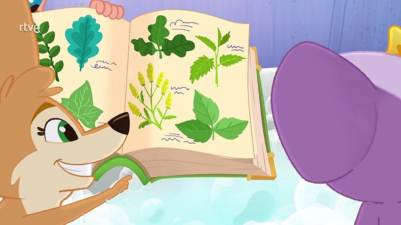 Sweetwood's itchy scratches - Vida la veterinaria en inglés | Watch