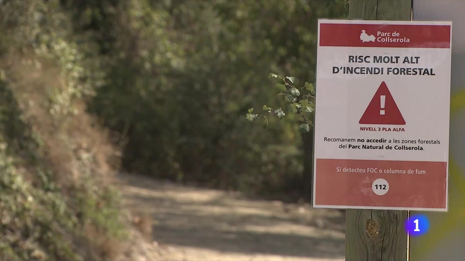 Com es poden frenar els grans incendis? La proposta del CREAF - L'Informatiu | Veure