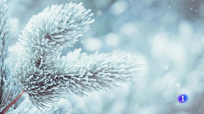 Telexornal - Galicia - El tiempo en Galicia    16-01-2025