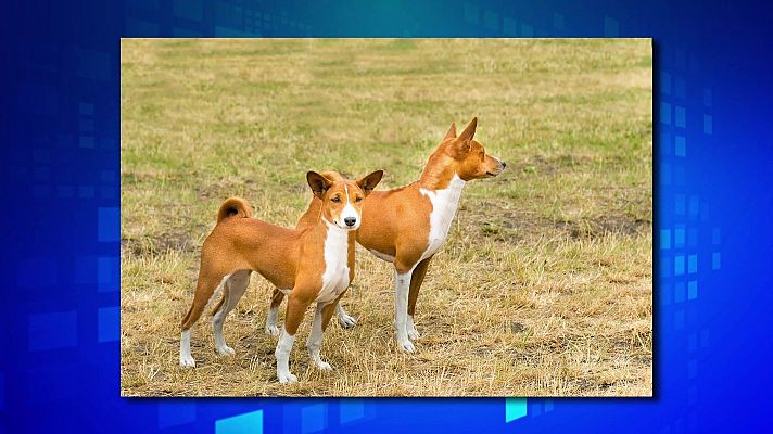 Saber y ganar - Saber y ganar - 16/01/25