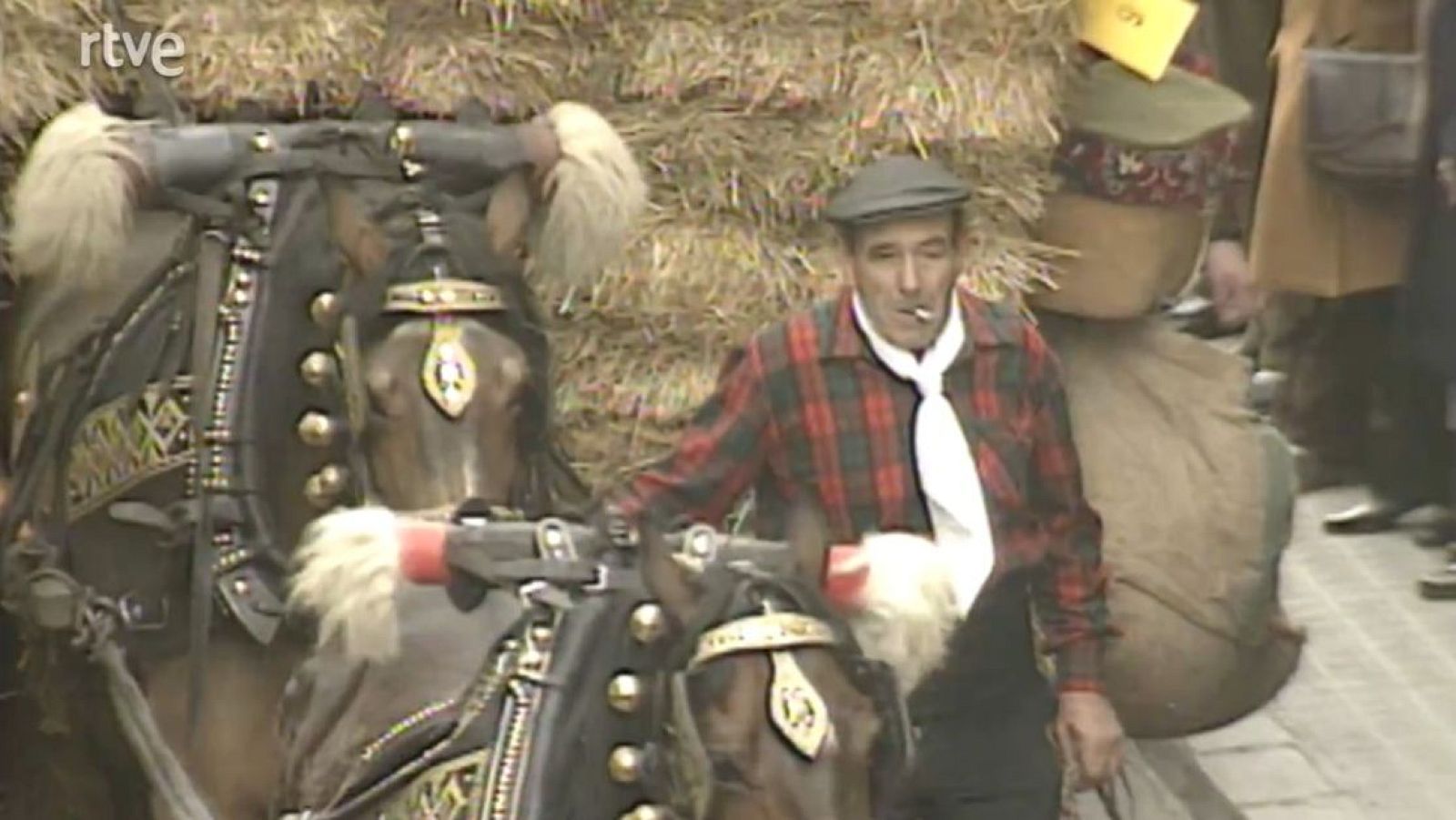 Animals beneïts - Impactes - Arxiu TVE Catalunya - Impactes | Veure