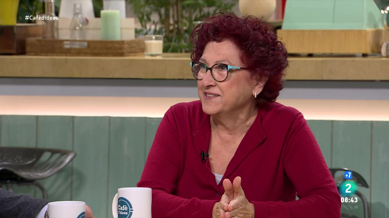 El Centre Delàs alerta que l'acord Israel-Hamàs deixa temes en l'aire - Cafè d'idees | Veure