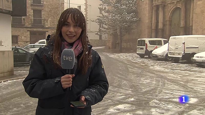 L'Informatiu de la Comunitat Valenciana 1 - 17/01/25 | Ver