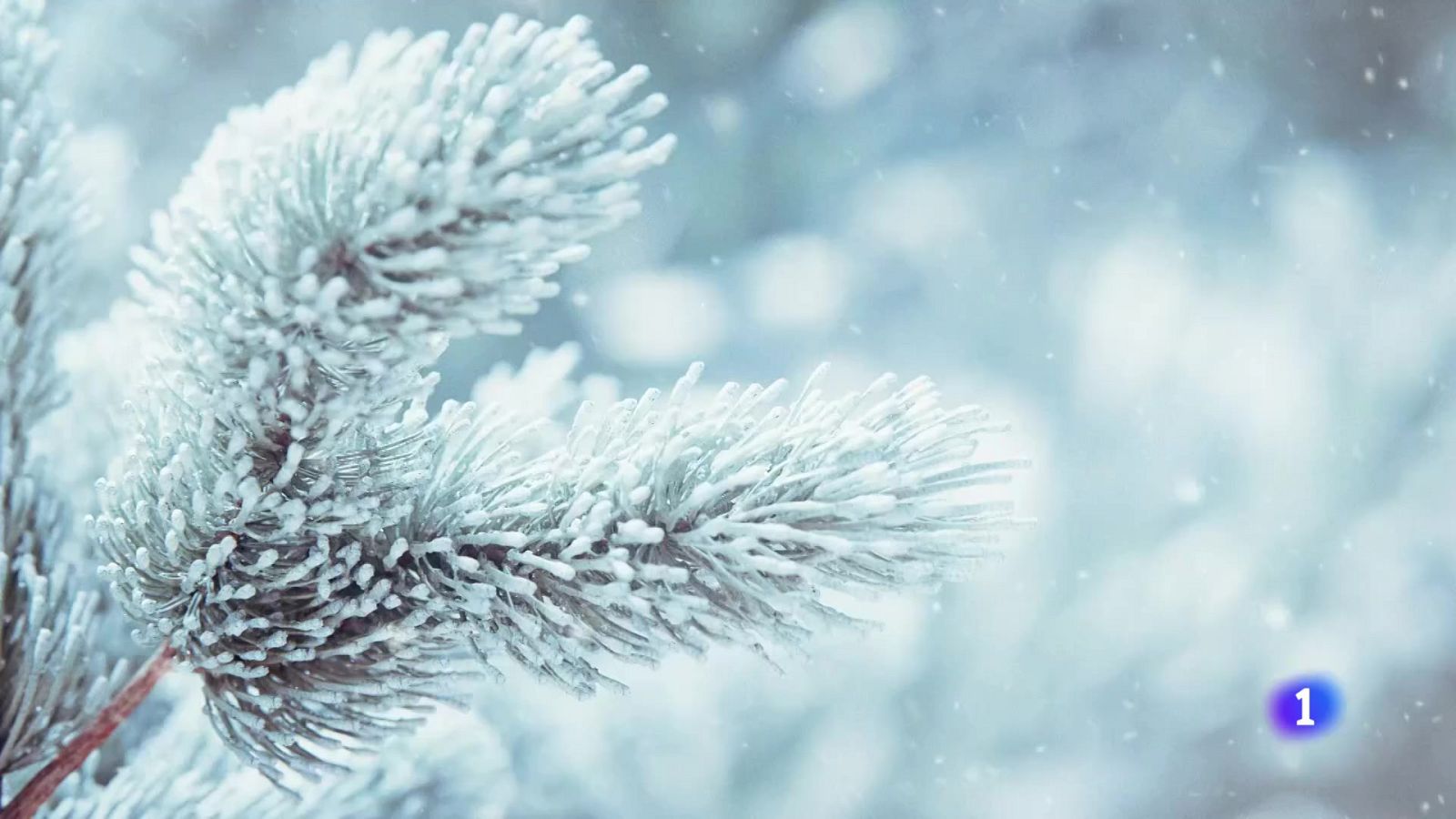 El tiempo en Galicia 17-01-2025 | Ver