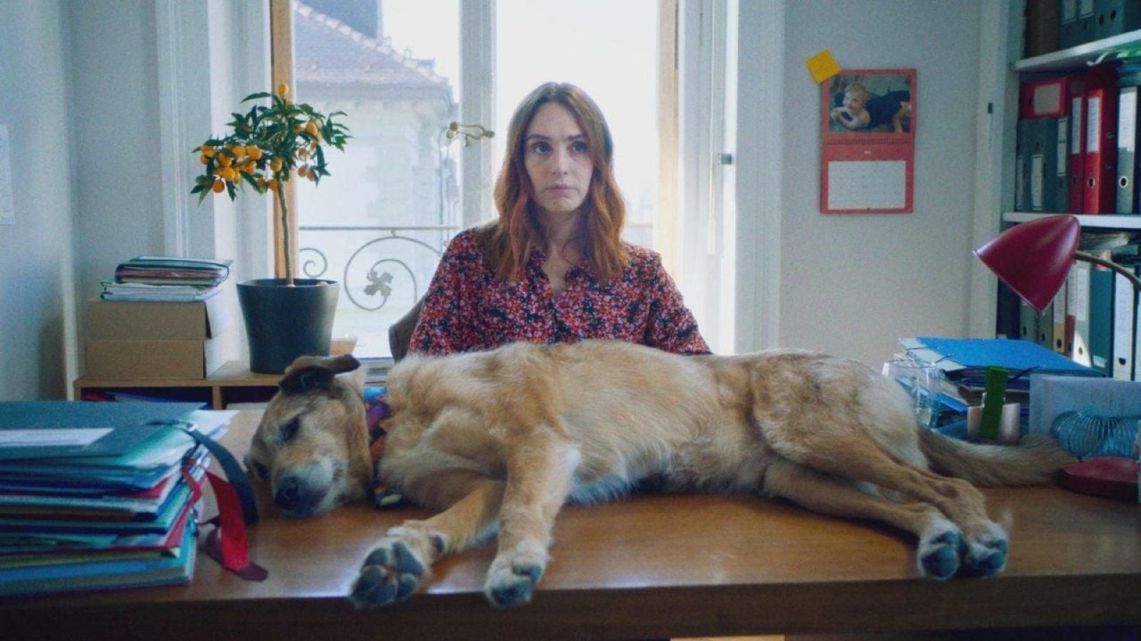 Días de cine: El juicio del perro | Ver