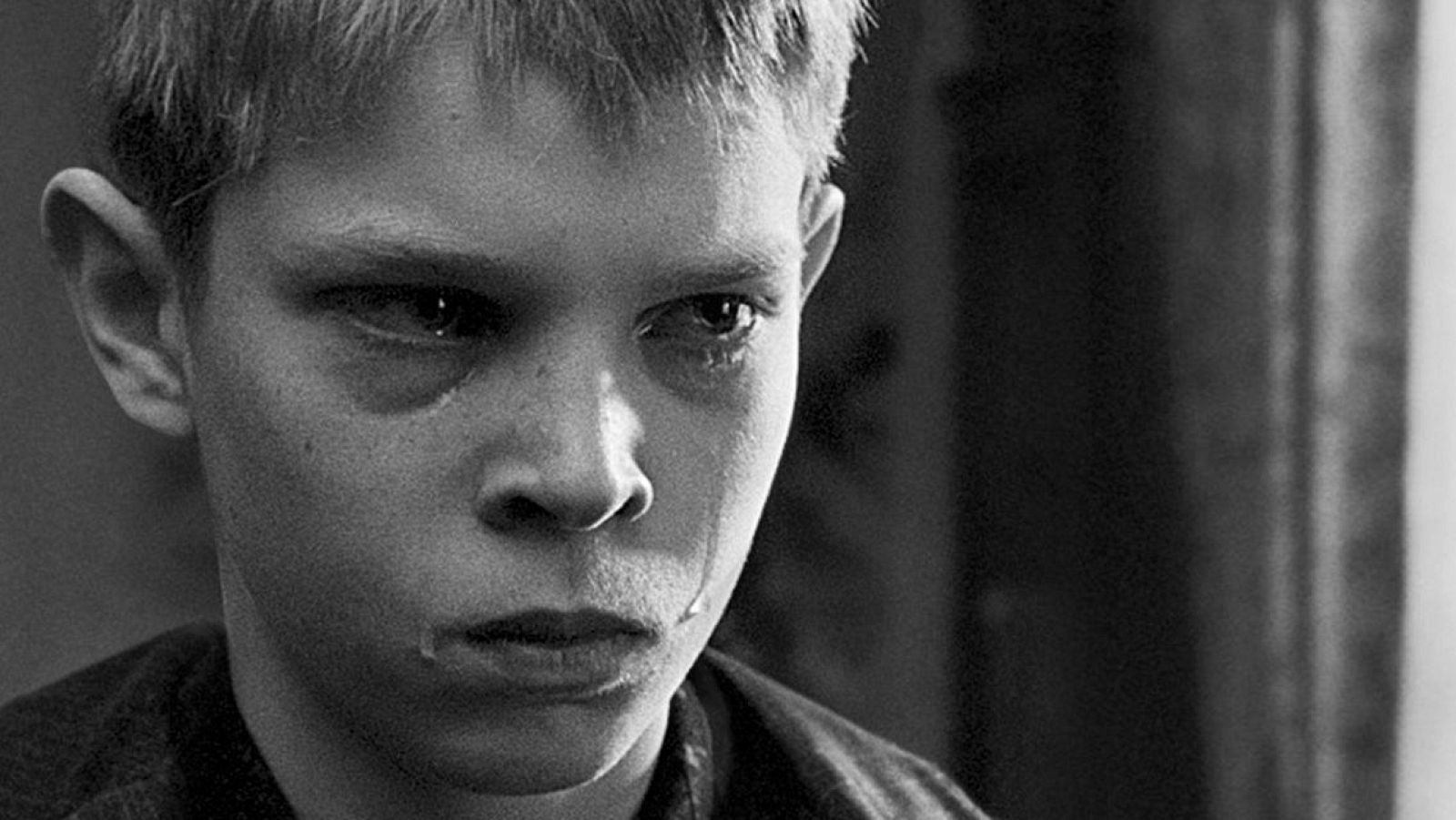 Días de cine:  15 años de "La cinta blanca" | Ver