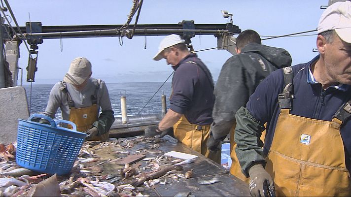 Agrosfera - Agrosfera - 18/01/25