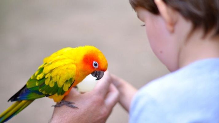 Para todos La 2 - Para todos La 2 - 18/01/25