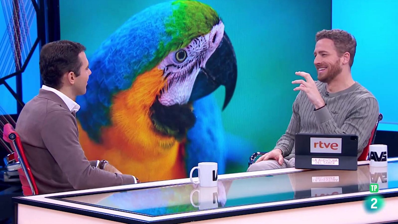 Tomás Palomares. El abandono de mascotas | Ver