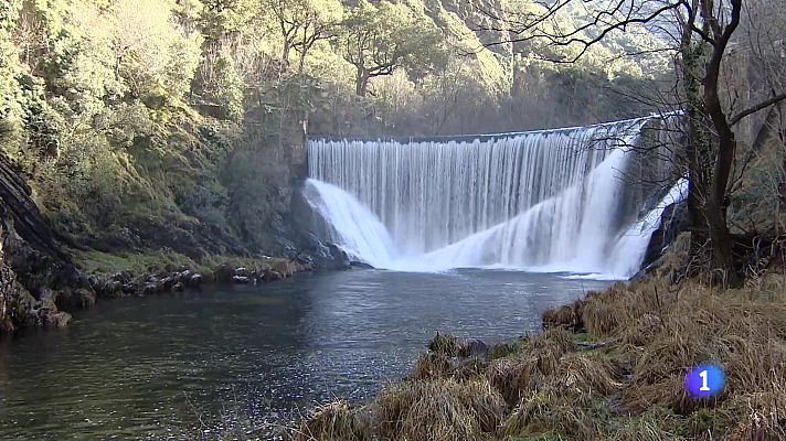 Informativo Telerioja - Informativo Telerioja  - 20/01/25 - Ver ahora