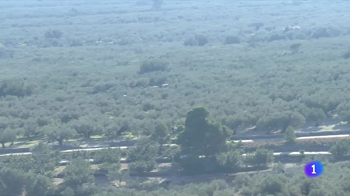 L'Informatiu - Pagesos de les Terres de l'Ebre, preocupats pels robatoris al camp