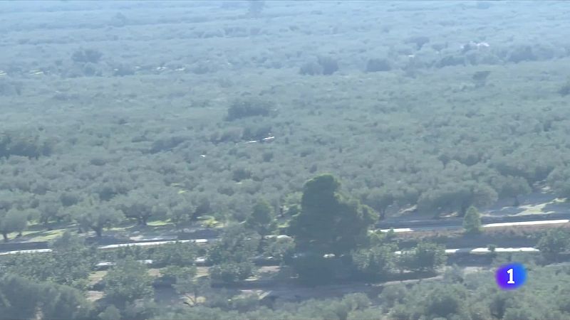 Pagesos de les Terres de l'Ebre, preocupats pels robatoris al camp - L'Informatiu | Veure