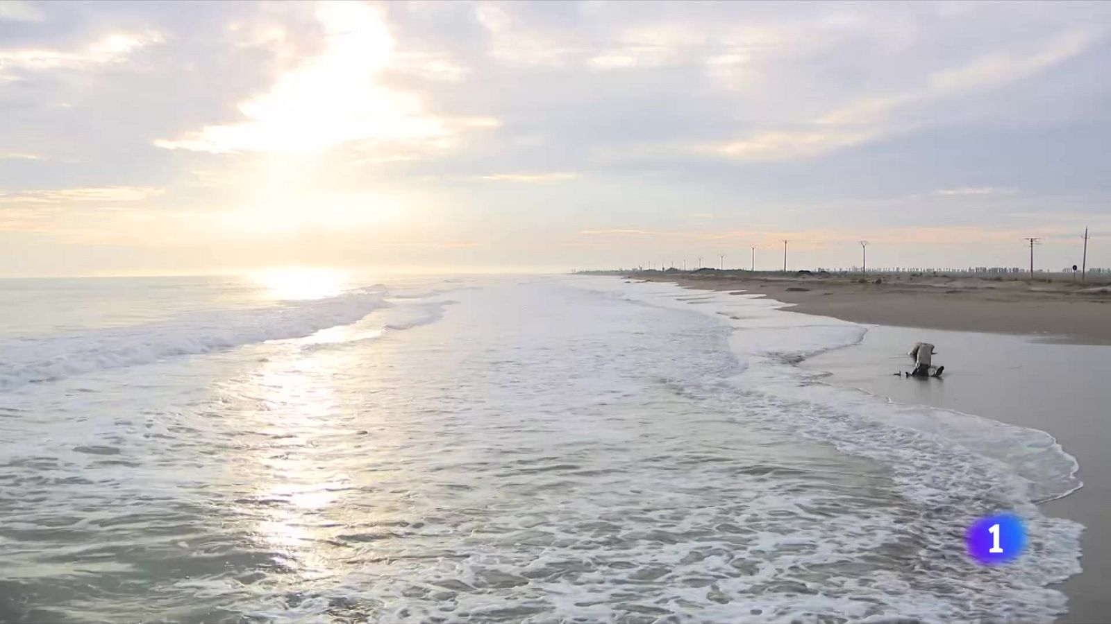 El Delta de l'Ebre reclama accions concretes per evitar la regressió - L'Informatiu | Veure