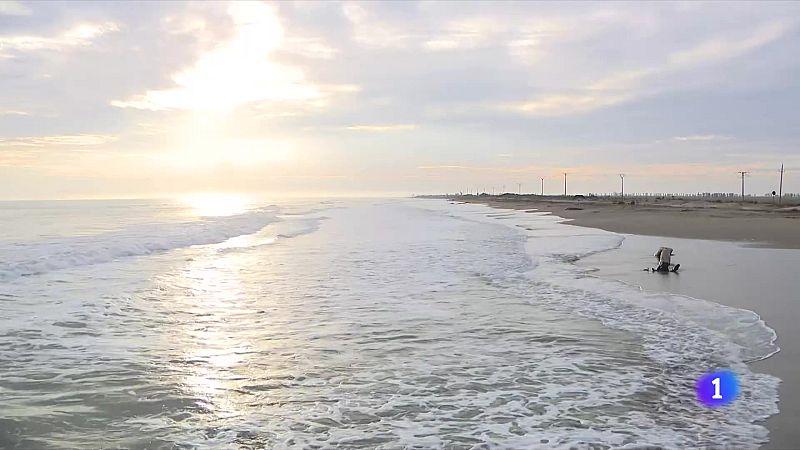 El Delta de l'Ebre reclama accions concretes per evitar la regressió - L'Informatiu | Veure