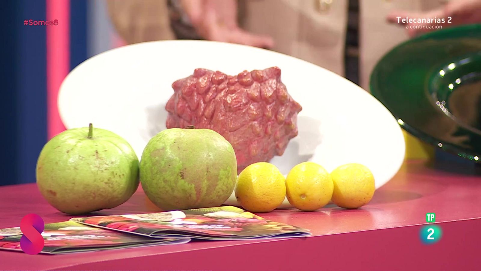 Somos 8 - 21/01/2025 - Somos 8 | Ver