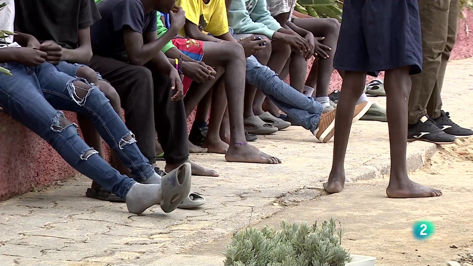 Telecanarias 2 - 21/01/2025 | Ver