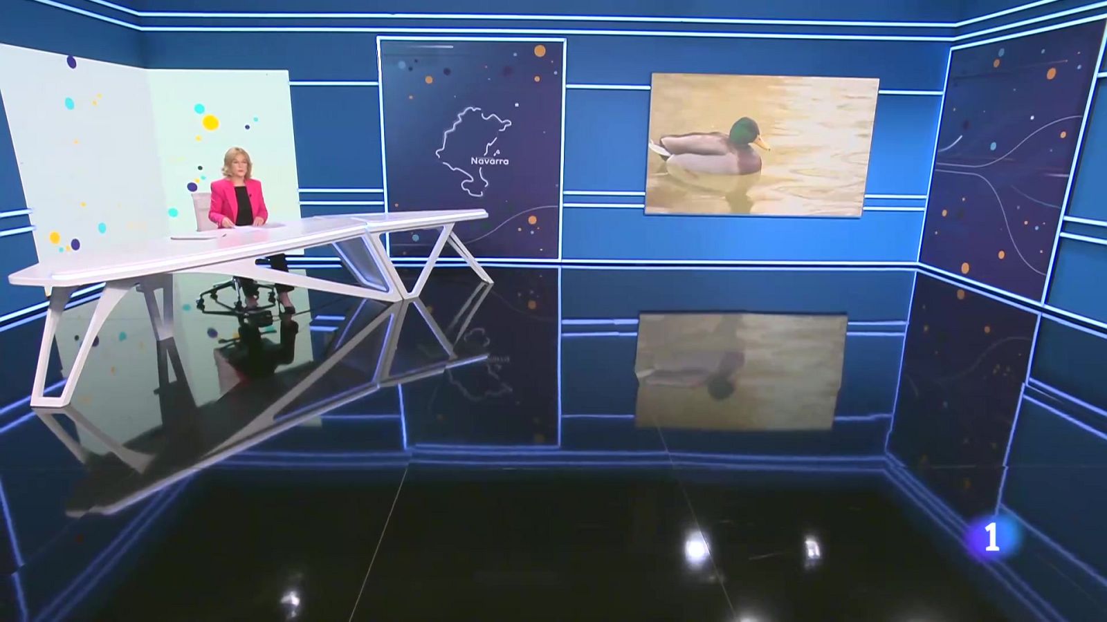 Telenavarra en 2' -  22/1/2025 | Ver