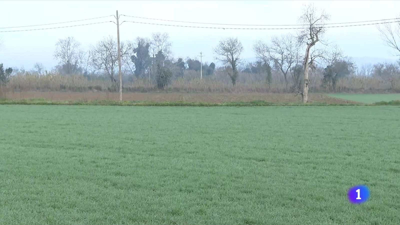 Les restriccions d'aigua a l'Alt Empordà preocupen els pagesos - L'Informatiu | Veure