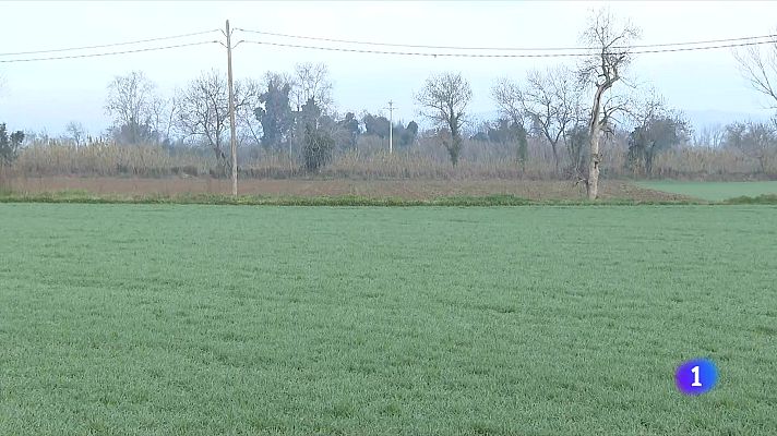 L'Informatiu - Les restriccions d'aigua a l'Alt Empordà preocupen els pagesos